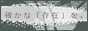 sein/�V���E �l
